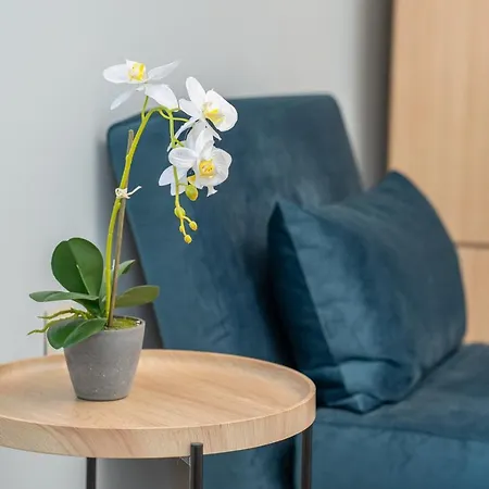 Frank's Place - Private Parking Hébergement de vacances *